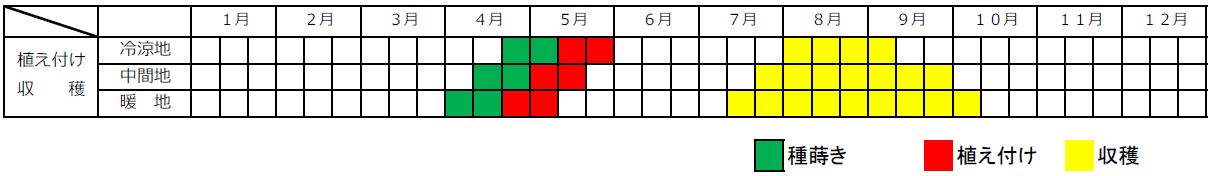 ゴーヤー栽培カレンダー