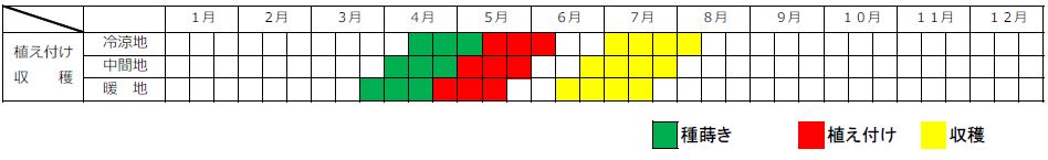 メロン栽培カレンダー