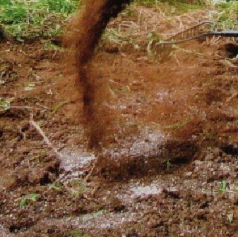 パプリカの追肥の頻度と与える量