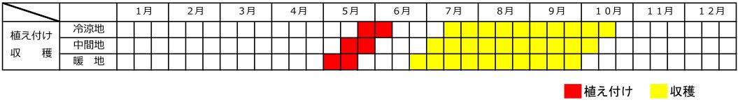 ピーマンの植え付け収穫カレンダー