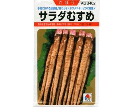 ゴボウおすすめの品種