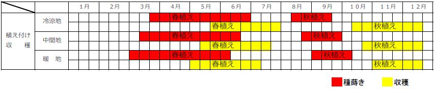 カブの栽培カレンダー