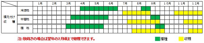 ゴボウの栽培カレンダー