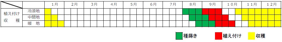 ハクサイ栽培カレンダー