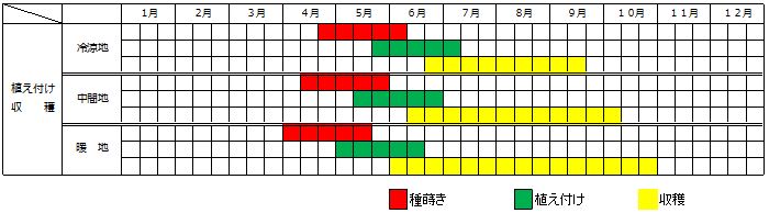 シソの栽培カレンダー